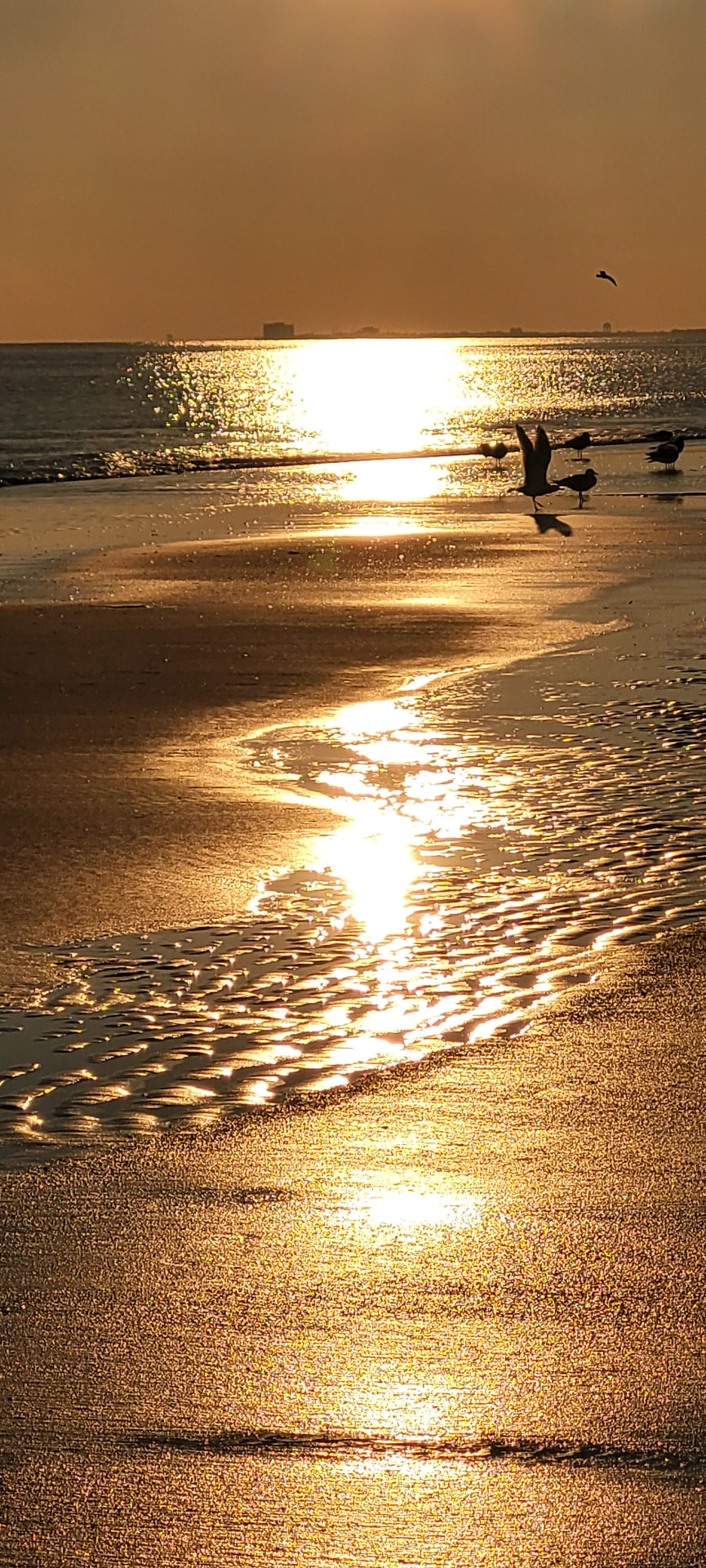 Lumière dorée du soleil couchant sur l'eau calme d'une plage